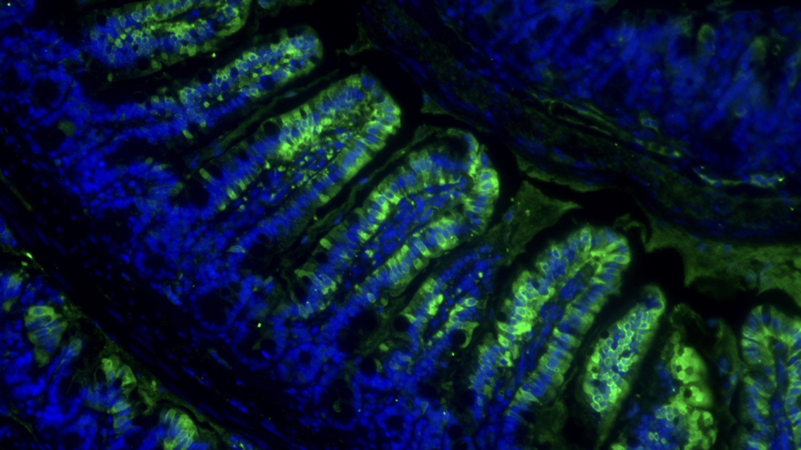 knight-initiative-winter-2026-symposium-knight-initiative